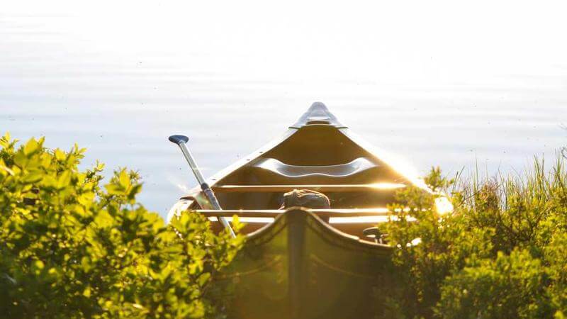 Human buttocks floating in water, demonstrating hydrodynamic buoyancy.